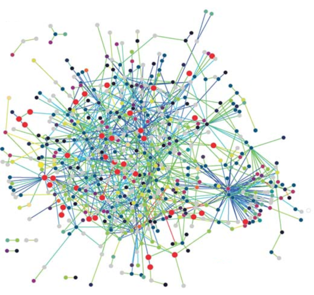 The protein interaction network of Treponema pallidum